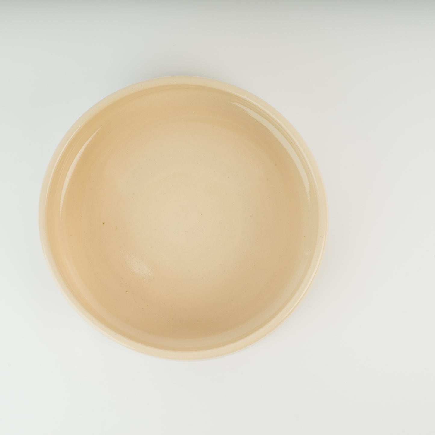 Tallow Medium Dog Bowl