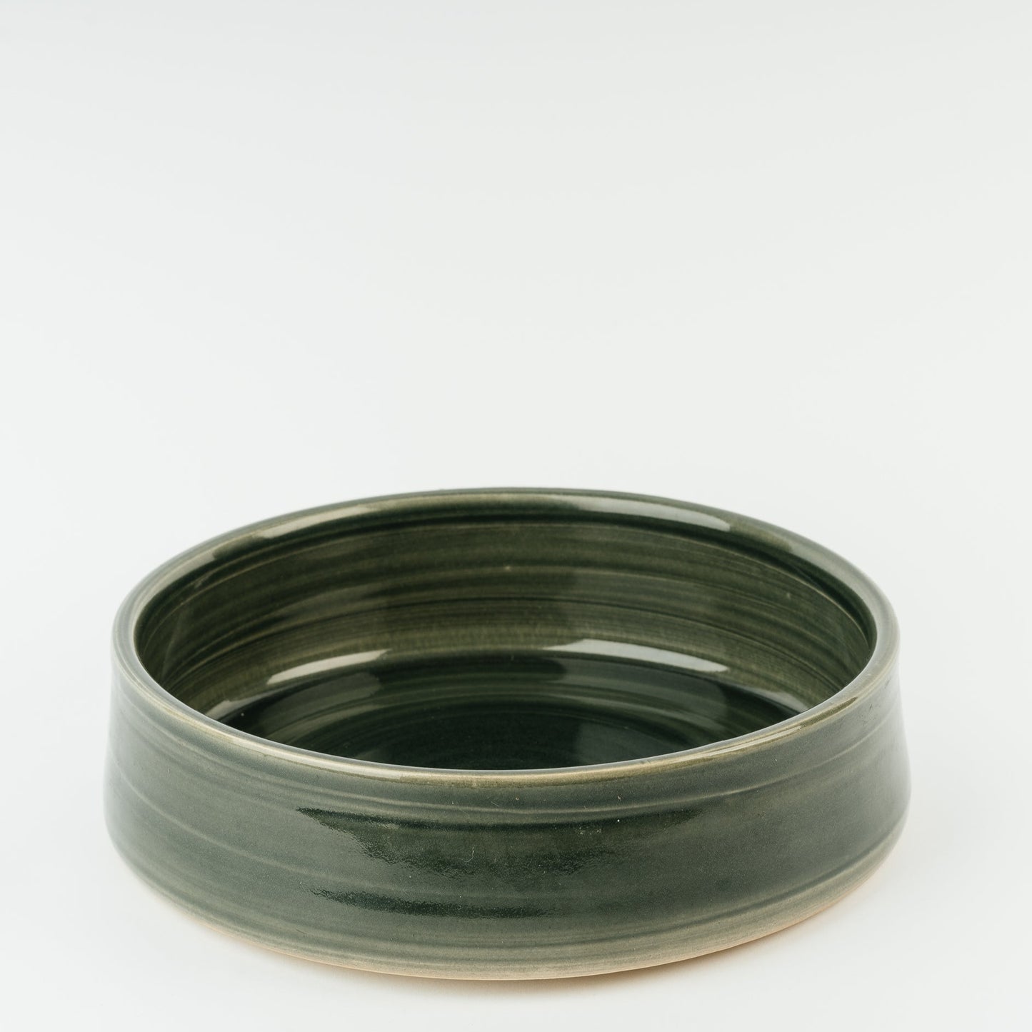 Green ceramic large dog bowl on a white background