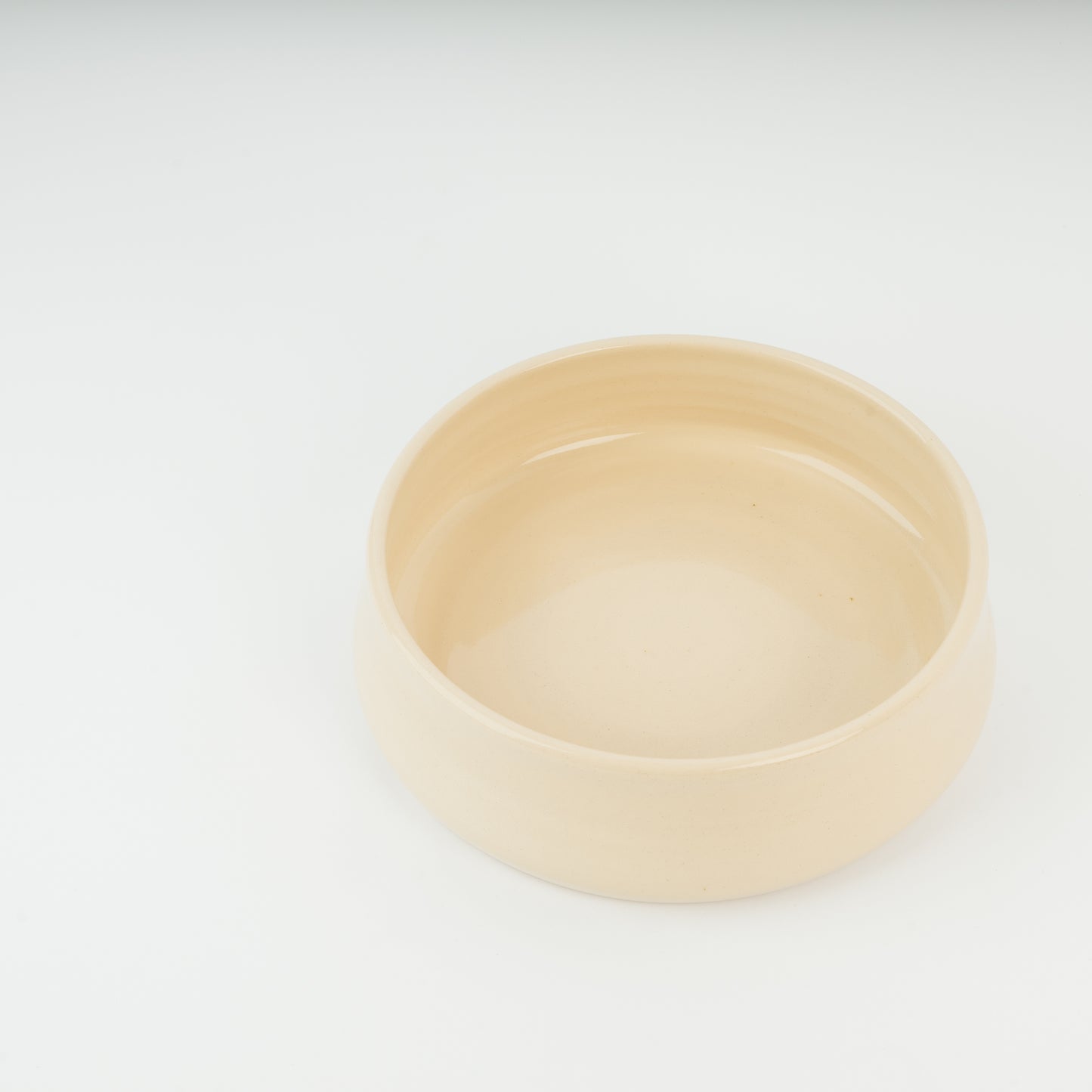 Tallow Large Dog Bowl
