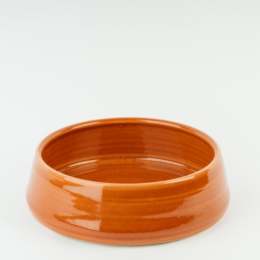 Orange ceramic large pet bowl on a white background